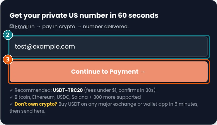 Order form with test@example.com typed in the email field, highlighted as box 2, and the orange Continue to Payment button highlighted as box 3